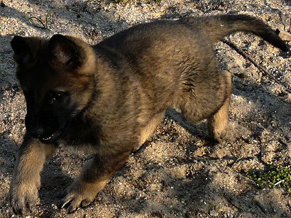 Bella v letu po druhé.. :-)