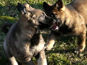 trhačky po druhé.. :-)